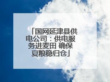国网延津县供电公司：供电服务进麦田 确保夏粮稳归仓