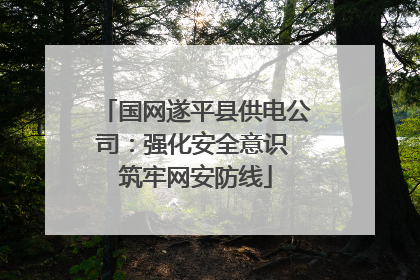 国网遂平县供电公司：强化安全意识 筑牢网安防线