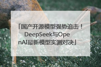 国产开源模型强势追击！DeepSeek与OpenAI最新模型实测对决