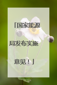 国家能源局发布实施意见！
