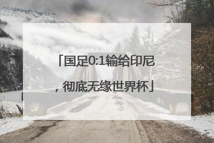 国足0:1输给印尼，彻底无缘世界杯