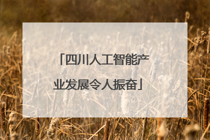 四川人工智能产业发展令人振奋