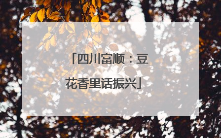 四川富顺：豆花香里话振兴