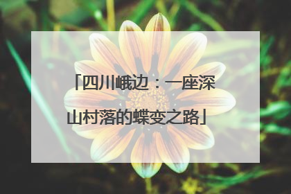 四川峨边：一座深山村落的蝶变之路
