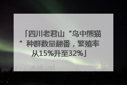 四川老君山“鸟中熊猫”种群数量翻番，繁殖率从15%升至32%