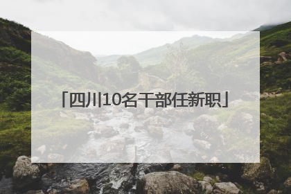 四川10名干部任新职