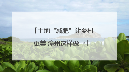 土地“减肥”让乡村更美 漳州这样做→