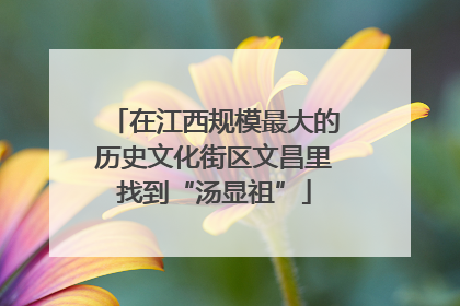 在江西规模最大的历史文化街区文昌里找到“汤显祖”