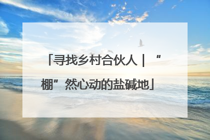 寻找乡村合伙人｜“棚”然心动的盐碱地