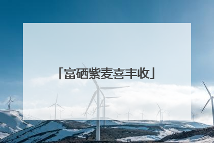 富硒紫麦喜丰收