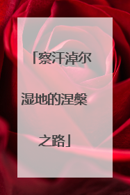 察汗淖尔湿地的涅槃之路