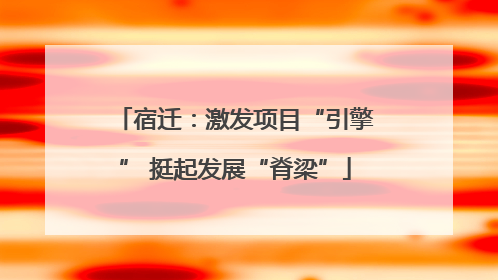 宿迁：激发项目“引擎” 挺起发展“脊梁”