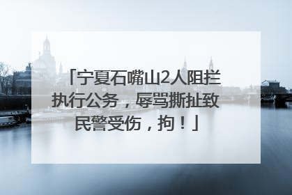 宁夏石嘴山2人阻拦执行公务，辱骂撕扯致民警受伤，拘！