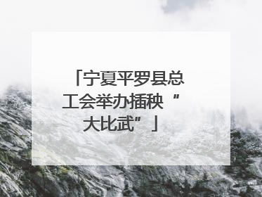 宁夏平罗县总工会举办插秧“大比武”