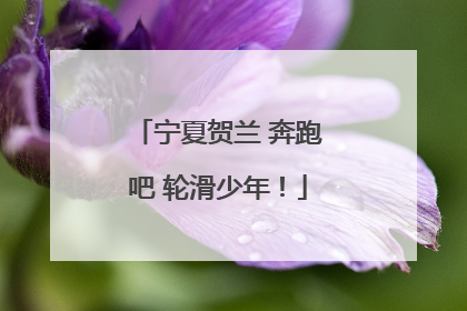 宁夏贺兰 奔跑吧 轮滑少年！