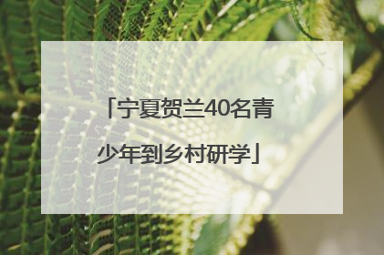 宁夏贺兰40名青少年到乡村研学