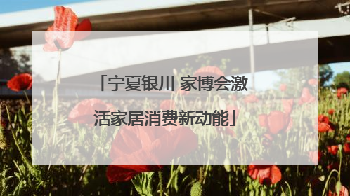 宁夏银川 家博会激活家居消费新动能
