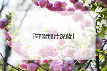 守望那片深蓝