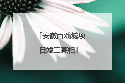 安徽百戏城项目竣工亮相