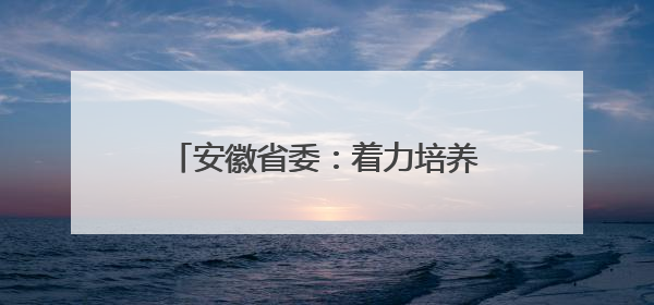 安徽省委：着力培养选拔优秀年轻干部