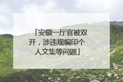 安徽一厅官被双开，涉违规编印个人文集等问题