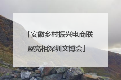 安徽乡村振兴电商联盟亮相深圳文博会