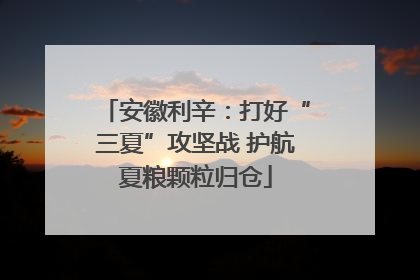 安徽利辛：打好“三夏”攻坚战 护航夏粮颗粒归仓