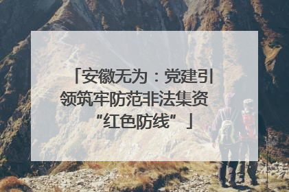 安徽无为：党建引领筑牢防范非法集资“红色防线”