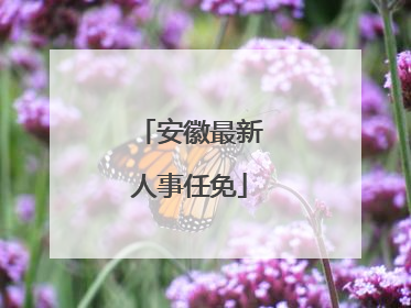 安徽最新人事任免