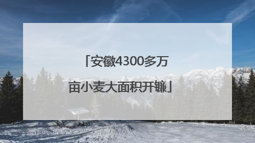 安徽4300多万亩小麦大面积开镰