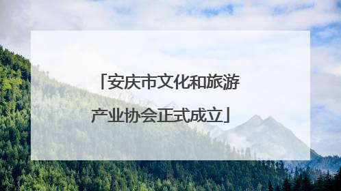安庆市文化和旅游产业协会正式成立
