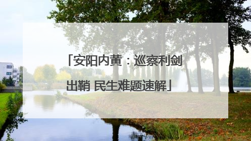 安阳内黄：巡察利剑出鞘 民生难题速解