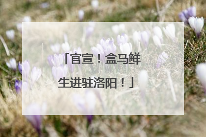 官宣！盒马鲜生进驻洛阳！