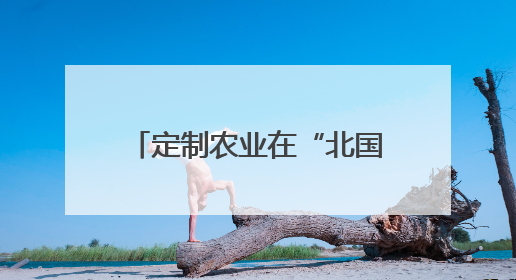 定制农业在“北国粮都”茁壮生长！企业：用算力指导生产，扁平化管理种地