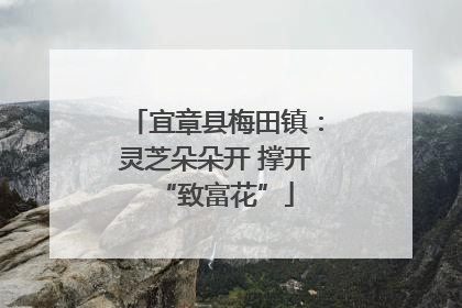 宜章县梅田镇：灵芝朵朵开 撑开“致富花”