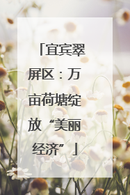 宜宾翠屏区：万亩荷塘绽放“美丽经济”