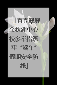 宜宾翠屏金秋湖中心校多举措筑牢“端午”假期安全防线