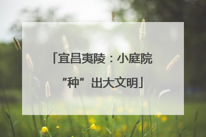 宜昌夷陵：小庭院“种”出大文明