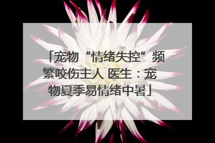 宠物“情绪失控”频繁咬伤主人 医生：宠物夏季易情绪中暑