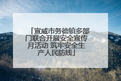 宣威市务德镇多部门联合开展安全宣传月活动 筑牢安全生产人民防线