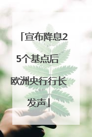 宣布降息25个基点后 欧洲央行行长发声