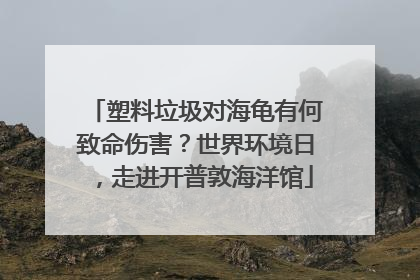 塑料垃圾对海龟有何致命伤害？世界环境日，走进开普敦海洋馆