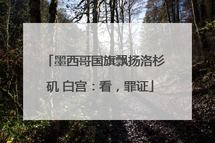墨西哥国旗飘扬洛杉矶 白宫：看，罪证