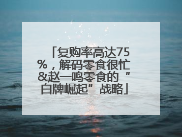 复购率高达75%，解码零食很忙&赵一鸣零食的“白牌崛起”战略