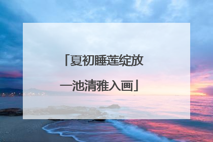 夏初睡莲绽放 一池清雅入画