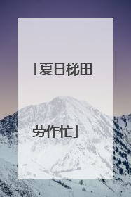 夏日梯田劳作忙