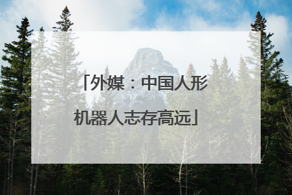 外媒：中国人形机器人志存高远