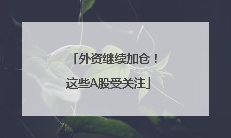 外资继续加仓！这些A股受关注