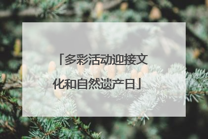 多彩活动迎接文化和自然遗产日