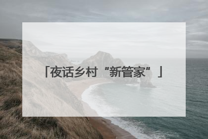 夜话乡村“新管家”